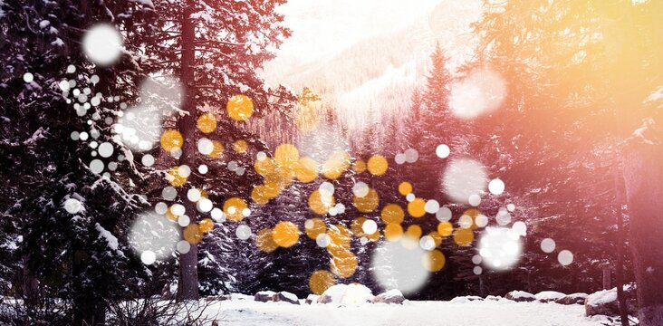 Fototapeta Defocused lights against snow covered trees and mountain