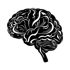 Fototapeta premium Artistic illustration of a human brain in black and white design 