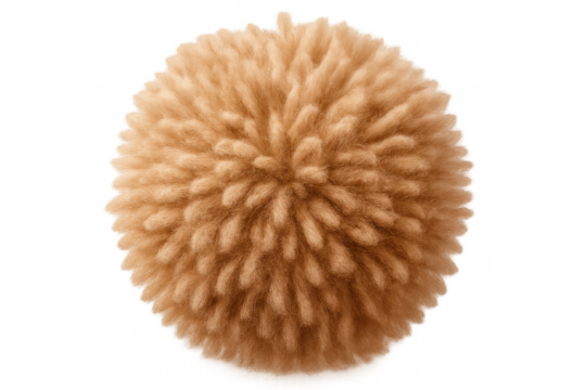 Light brown fuzzy dandelion seed head floating, wispy seeds spreading, clean transparent backdrop for graphic design needs