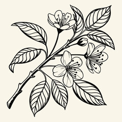 Black and white floral branch illustration