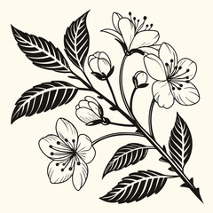 Black and white floral design