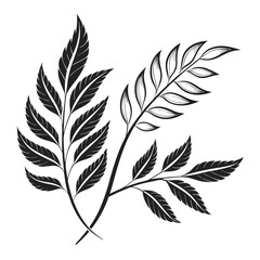 Obraz premium Botanical fern frond illustration with black and white coloring