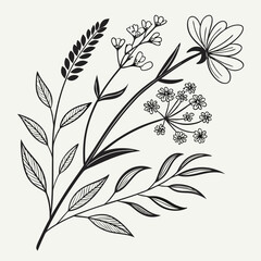 Fototapeta premium Black and white floral design illustration