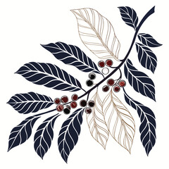 Coffee plant branch illustration