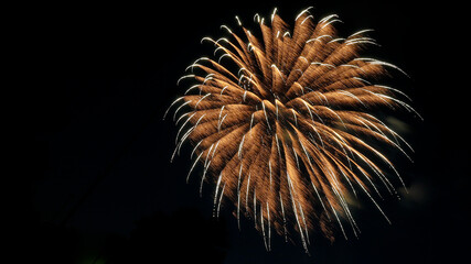 Single large yellow and gold firework exploding against a dark black sky with copy space.