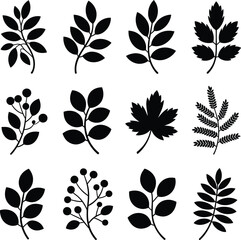 Naklejka premium Vector leaves silhouette set collection botanical foliage nature design elements for graphics and art