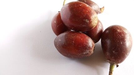 Sawo kecik (Manilkara kauki, Javanese sapodilla) isolated on white background. Planted as an ornamental plant and the fruit is very delicious.