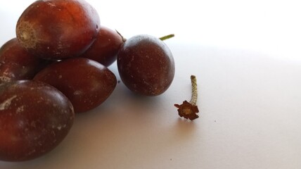 Sawo kecik (Manilkara kauki, Javanese sapodilla) isolated on white background. Planted as an ornamental plant and the fruit is very delicious.