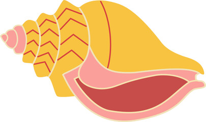 Shell vector illustration 