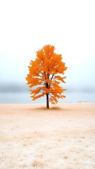 Vibrant Orange Tree in Frosty Field with Bright Sky Autumn Scene