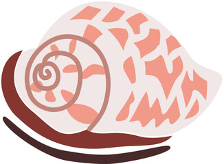 Shell vector illustration