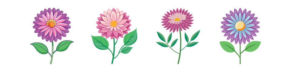 Aster Flower Flat Illustration Fall Blooming Perennial Design