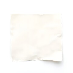 Obraz premium Una hoja de papel reciclado colocada sobre un fondo blanco limpio, sin arrugas