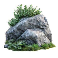 Gray boulder lush greenery isolated on a transparent background