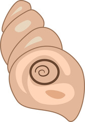 Shells vector lustrations 