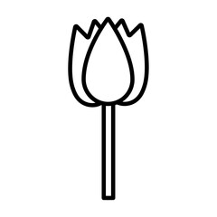 tulip icon flat thin outline art logo
