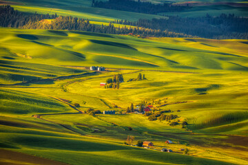 The rolling hills of the Palouse seen from Steptoe Butte © Andrew S.