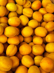 Close-up of ripe orange apricots packed in plastic containers.