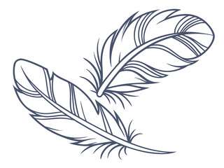Obraz premium Minimalist Pair Of Symmetrical Feathers Joined At The Base B SVG Design
