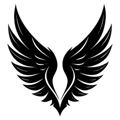 wings vector illustration