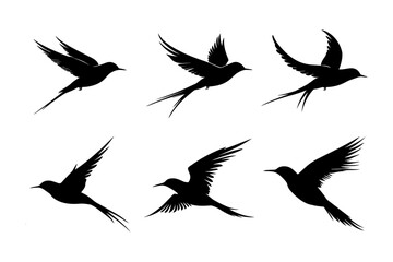 Fototapeta premium black silhouette set of swallows on white background 