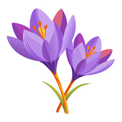 vector illustration of a flower