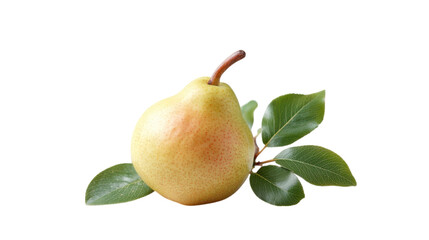 Single Ripe Yellow Pear with Leaves on Transparent Background