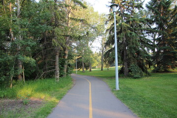 road in the park