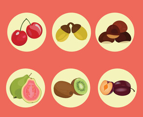 Set of autumn fruits on isolated abstract background.