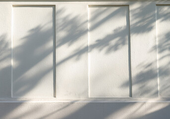 White Wall Texture with Tree Shadows