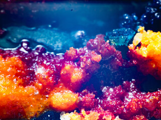 A colorful, abstract image of food with a blue and orange swirl