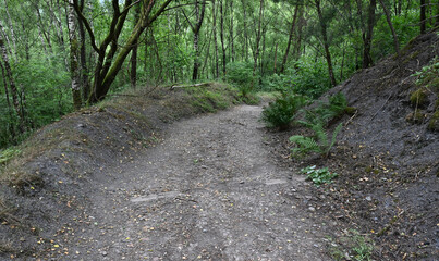 Beautiful view of the Hoge Kempen National Park