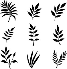 set of black leaves, feather, vector, bird, illustration, pattern, leaf, art, pen, design, nature, decoration, silhouette, set, plant, symbol, quill, vintage, icon, seamless, drawing, wing, color, bla