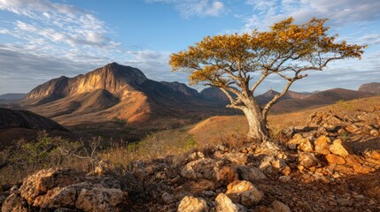 Arid landscape with lone tree atop rocky outcrop. Mountain range in distance