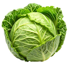 Fototapeta premium Close up shot of a fresh green cabbage head with textured leaves on a dark background isolated view