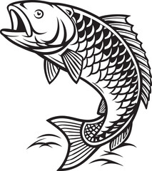 fish vector illustration