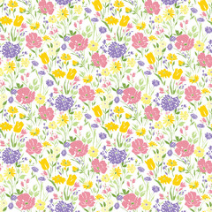 Meadow flowers and herbs seamless pattern. Meadow Cosmos flower. Blue, pink, yellow floral background