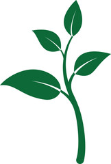 Medium plant icon showing leafy growth representing natural product growth or green farming progress with transparent background