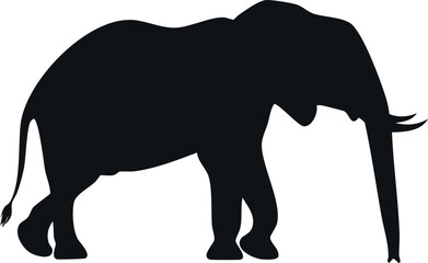 Obraz premium African elephant silhouette illustration