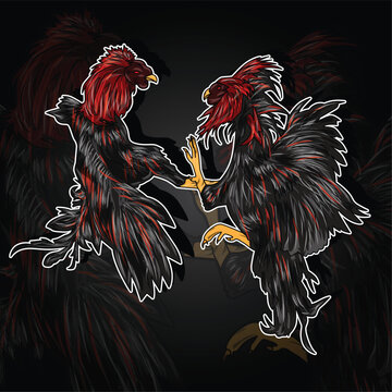 Vector illustration of two fighting cocks fighting.