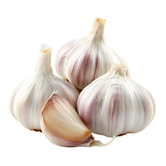 Fresh Garlic Bulbs and Clove on Black Background