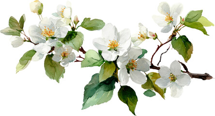 Obraz premium Elegant White Flowers with Green Leaves