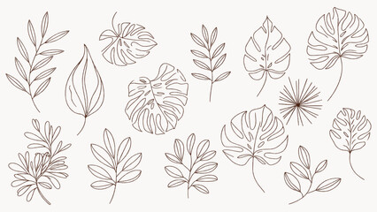 Minimalist Line Art Tropical Foliage Vector Set – Monstera Palm Eucalyptus Leaf Outlines for Design, Branding, Stationery