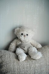 White teddy bear resting softly, cushion barely visible.