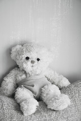 White teddy bear resting softly, cushion barely visible.