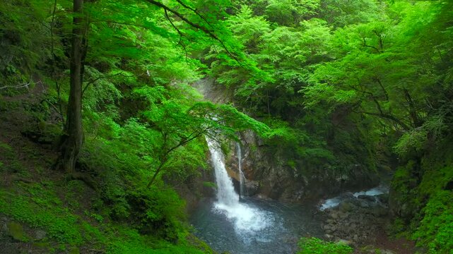 暗い渓谷のダイナミックな滝 西沢渓谷