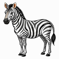 A cute cartoon zebra standing on a white background with black and white stripes