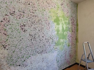 The wall of the room is primed and decorated with Japanese cotton plaster, unfinished.