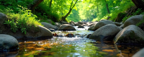 Serene Woodland Brook Crystal Clear Water Flowing Over Smooth Stones, Lush Green Foliage, Dappled Sunlight - Perfect for Relaxation, Travel, and Nature Photography