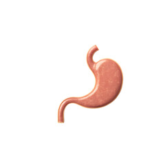 Human Stomach Anatomy: 3D Render of Digestive System Organ